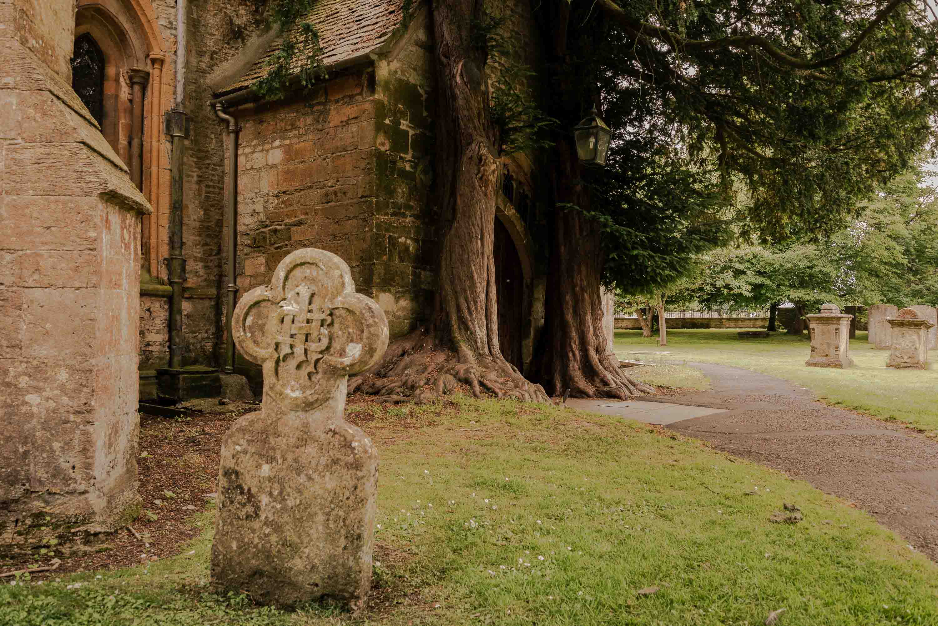 The centuries-old trees flanking the doorway, seen from the churchyard.