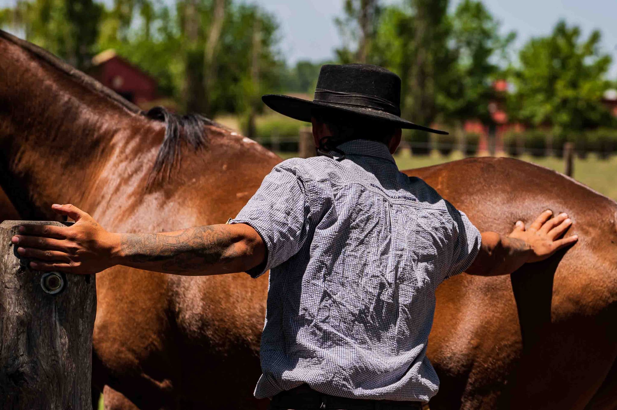 Getting ready — San Antonio de Areco, Argentina