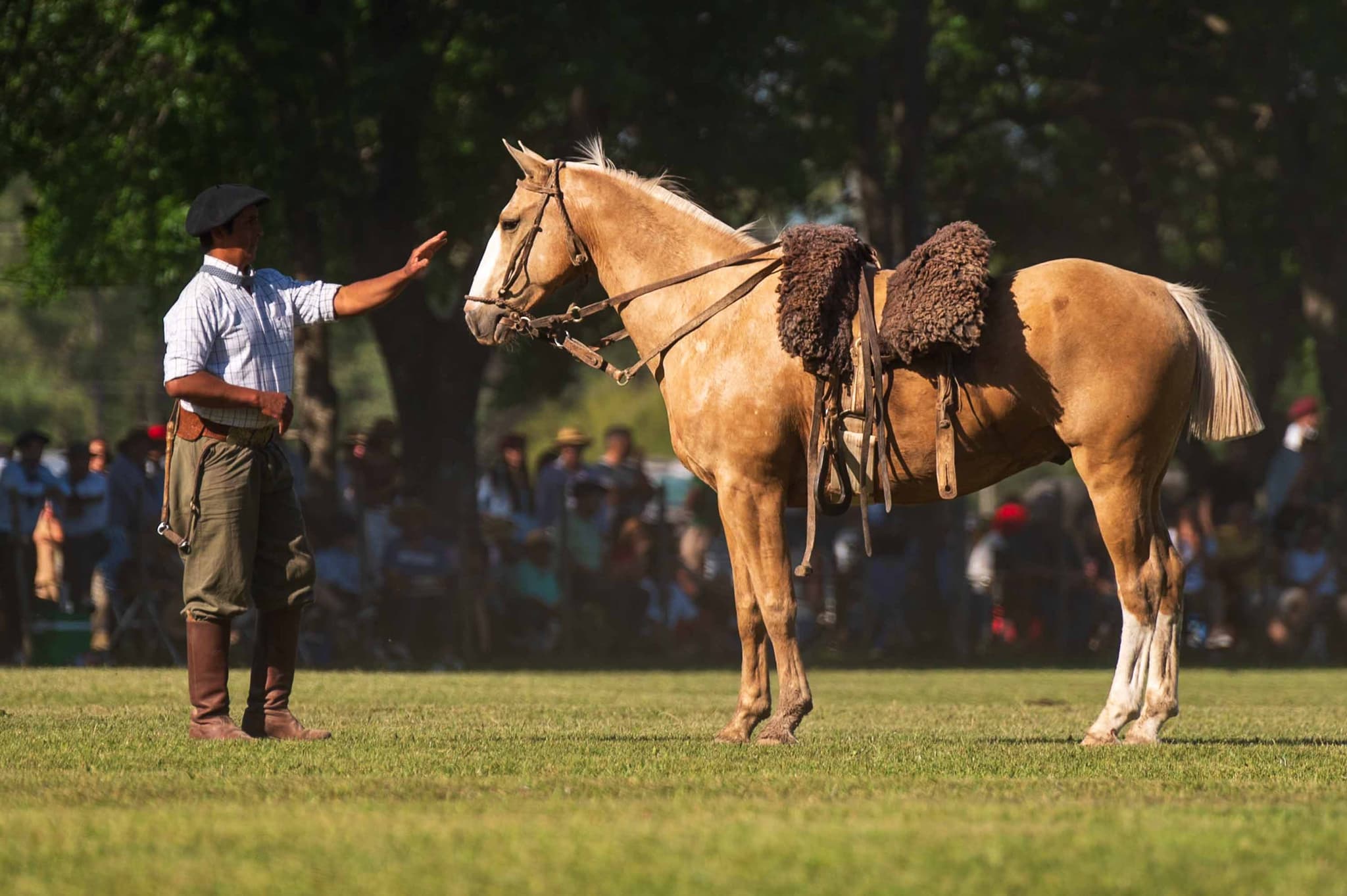 Manso — San Antonio de Areco, Argentina