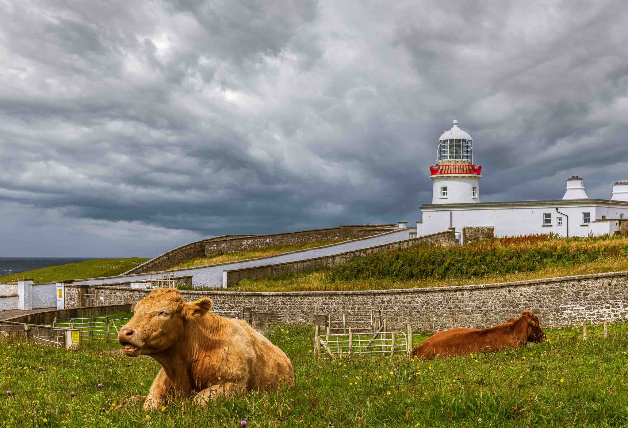 Faro de Saint John's Point — Irlanda