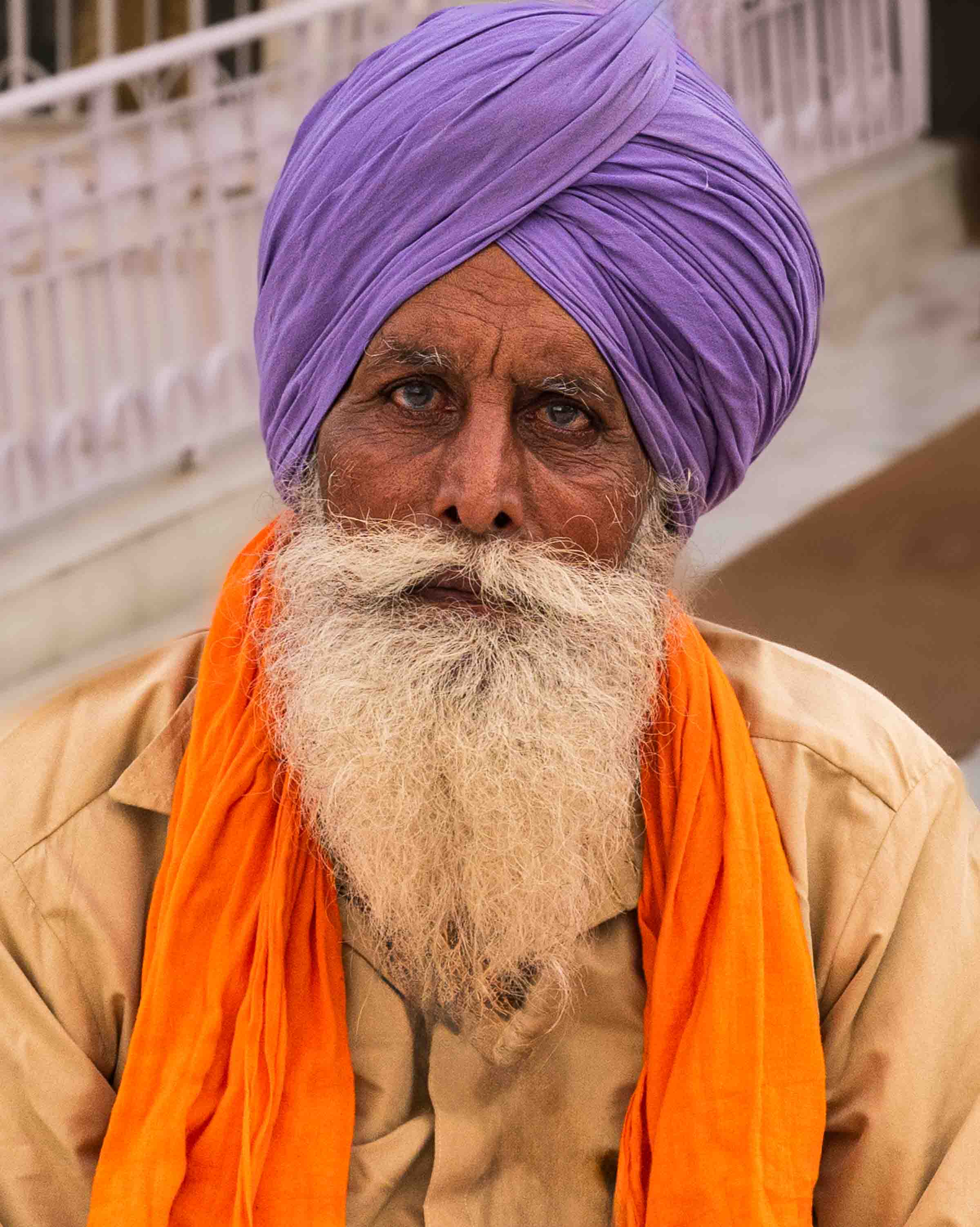 Portrait of an elderly Sikh man with a purple turban, long white beard and orange scarf, India