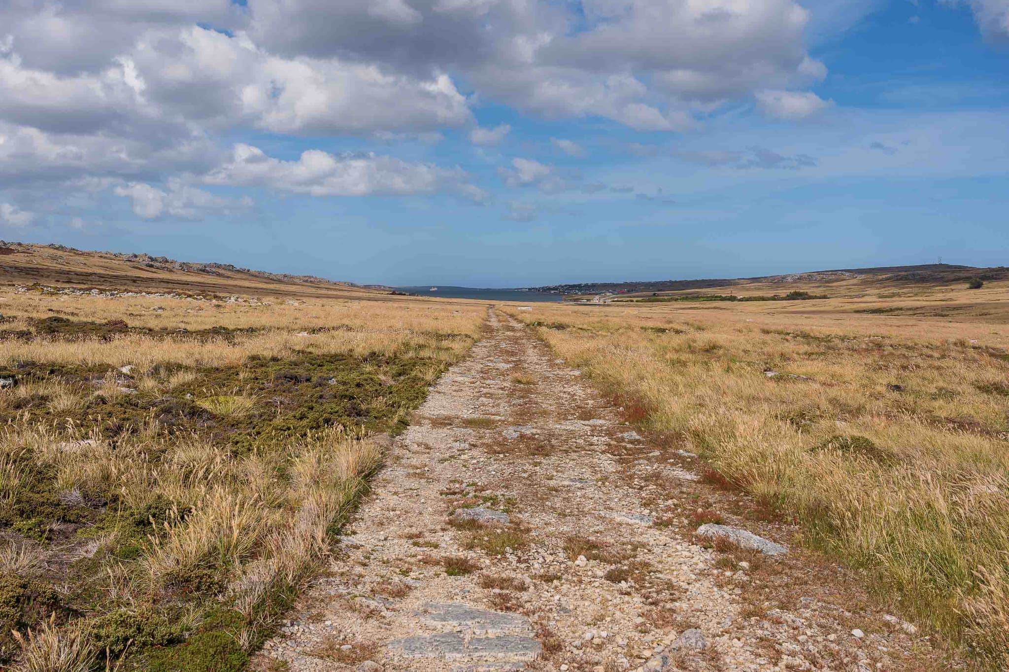 Camino al pueblo — Wireless Ridge, Islas Malvinas