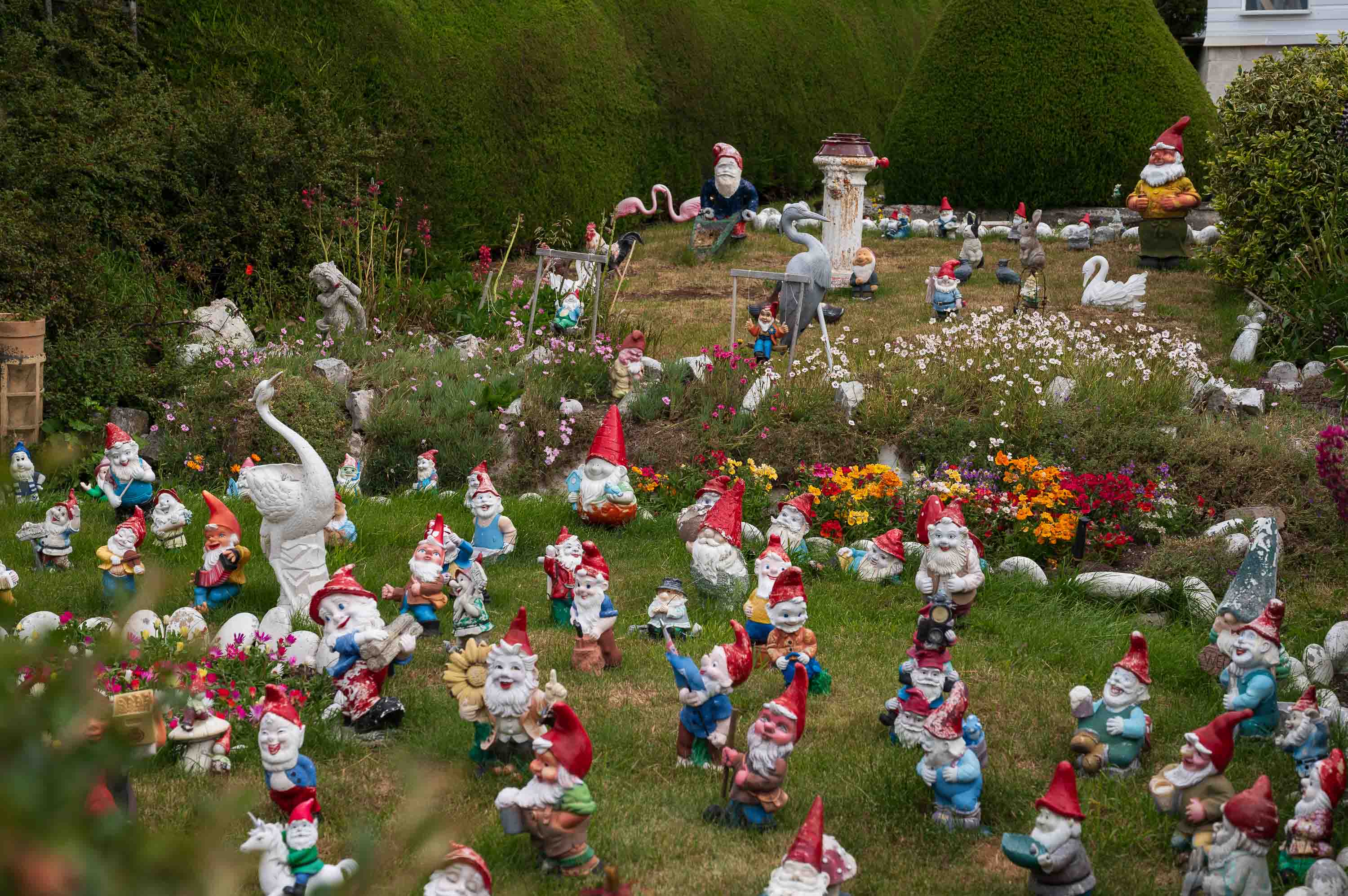 Kitsch garden — Puerto Argentino, Islas Malvinas