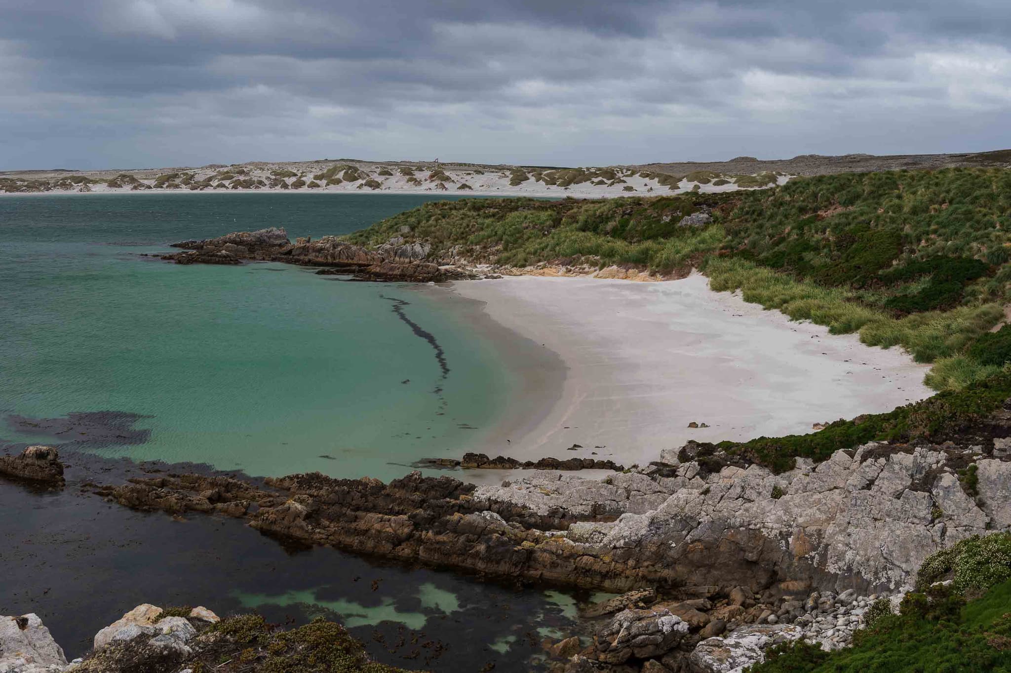 Gipsy Cove — Cape Pembroke Peninsula, Islas Malvinas