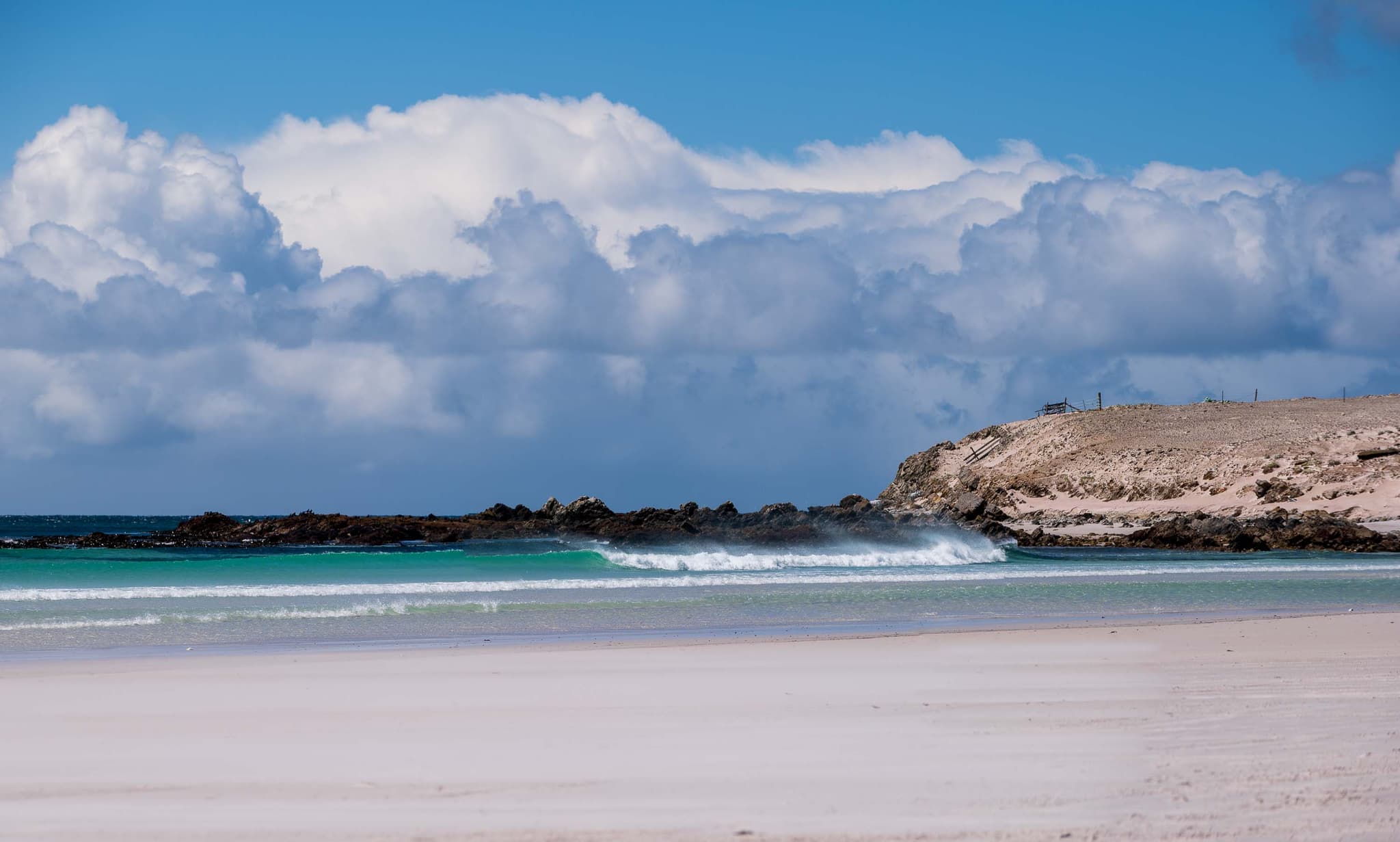 Arena blanca y mar esmeralda — Volunteer Point, Islas Malvinas