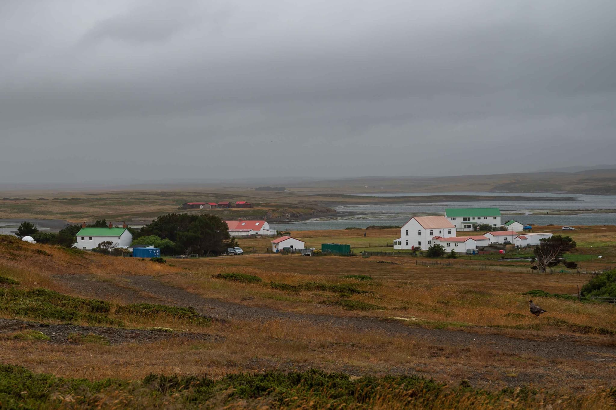 Soledad — Puerto Darwin, Islas Malvinas