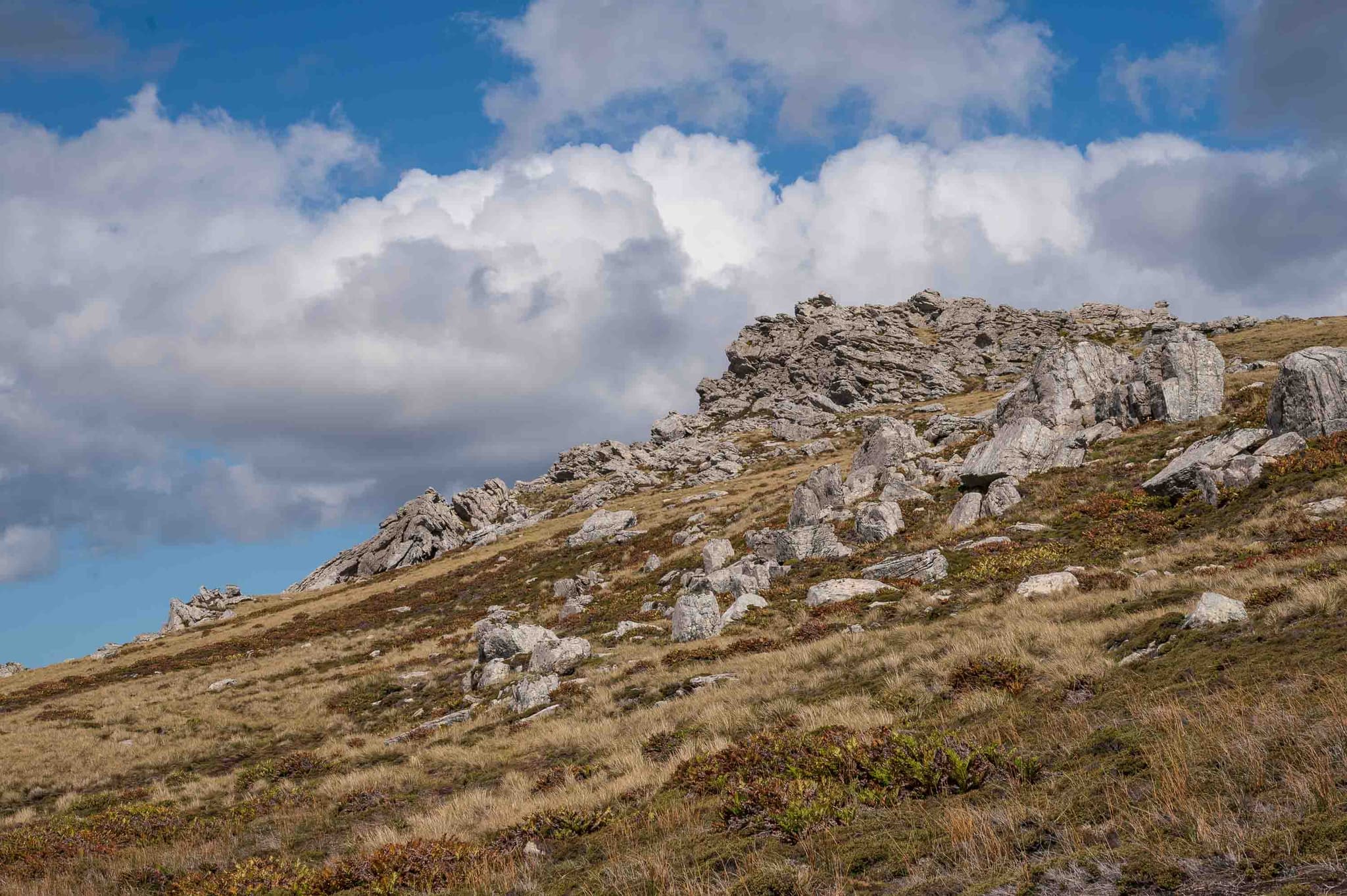 Casi en la cima — Monte Longdon, Islas Malvinas