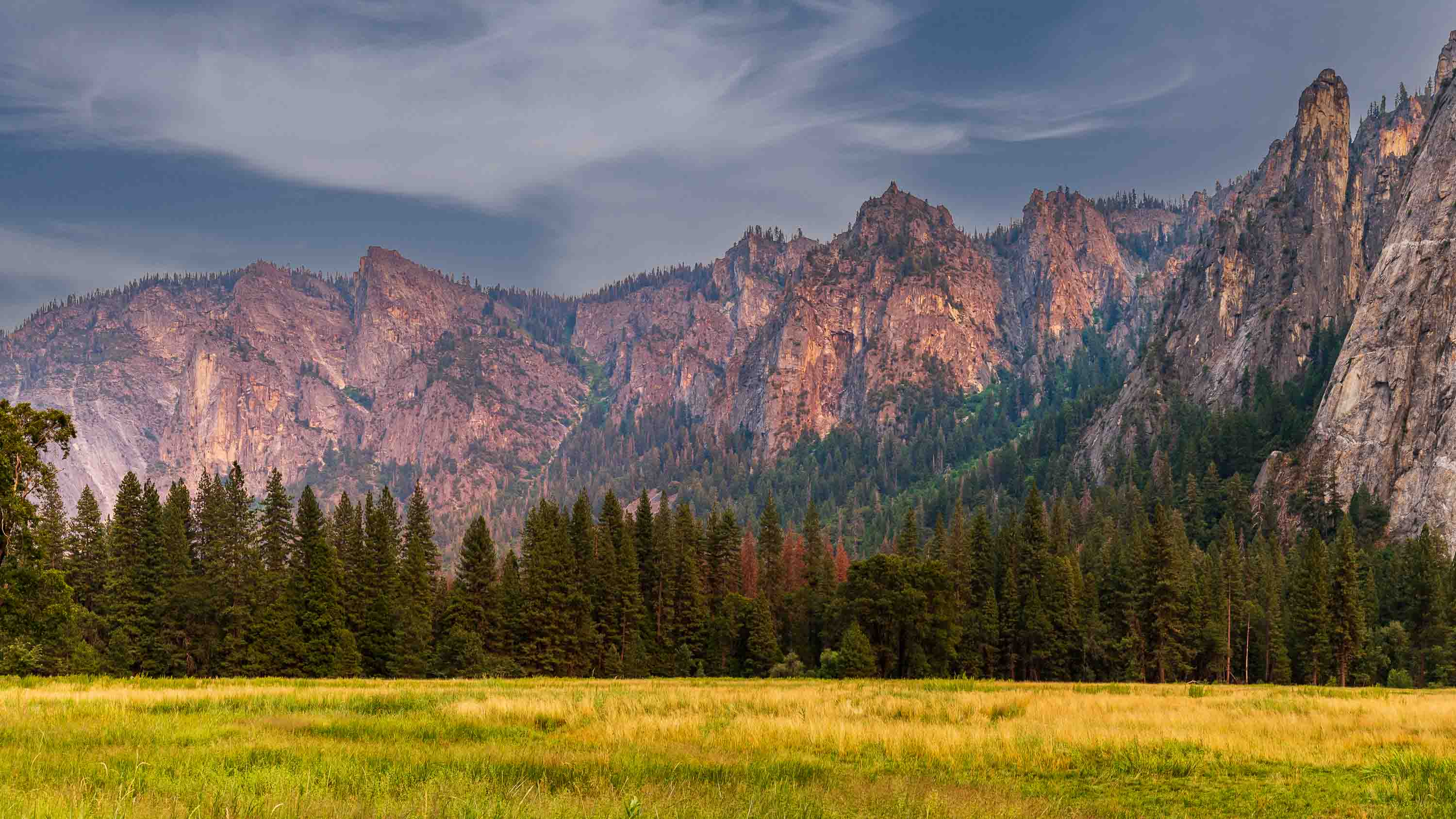 Detrás de los árboles — Yosemite National Park, USA