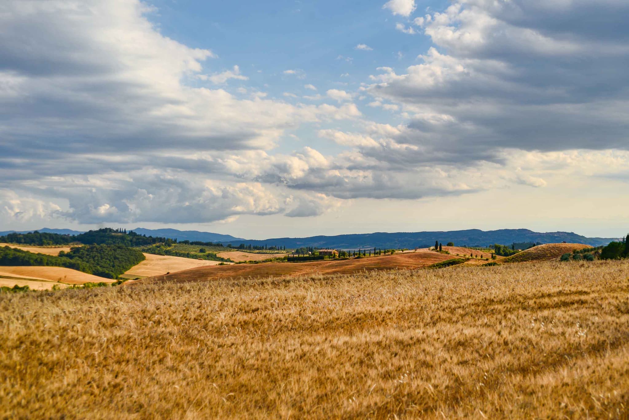 Bajo el sol de la Toscana — Val D'Orcia, Italia