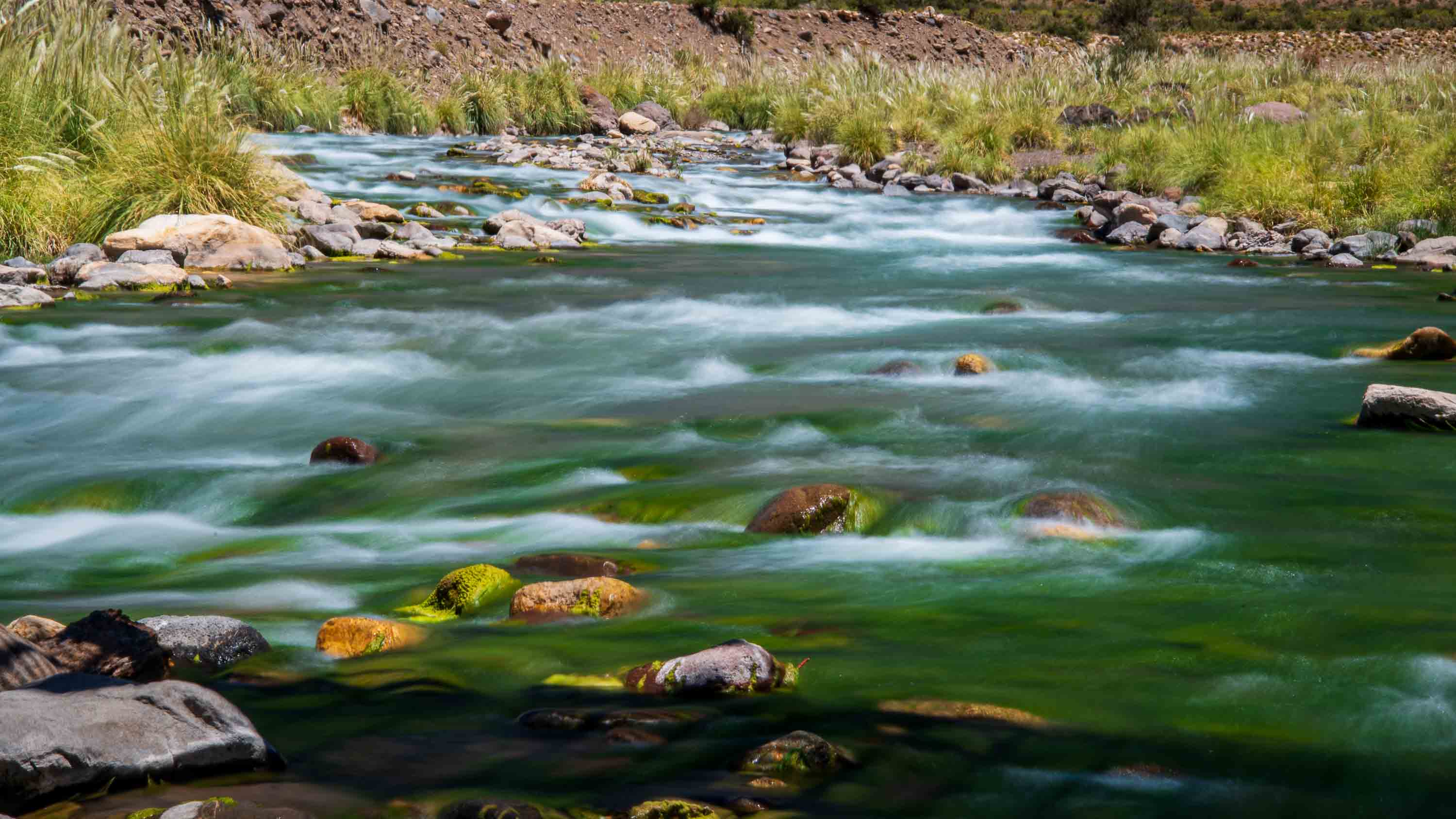 En movimiento — Mendoza, Argentina