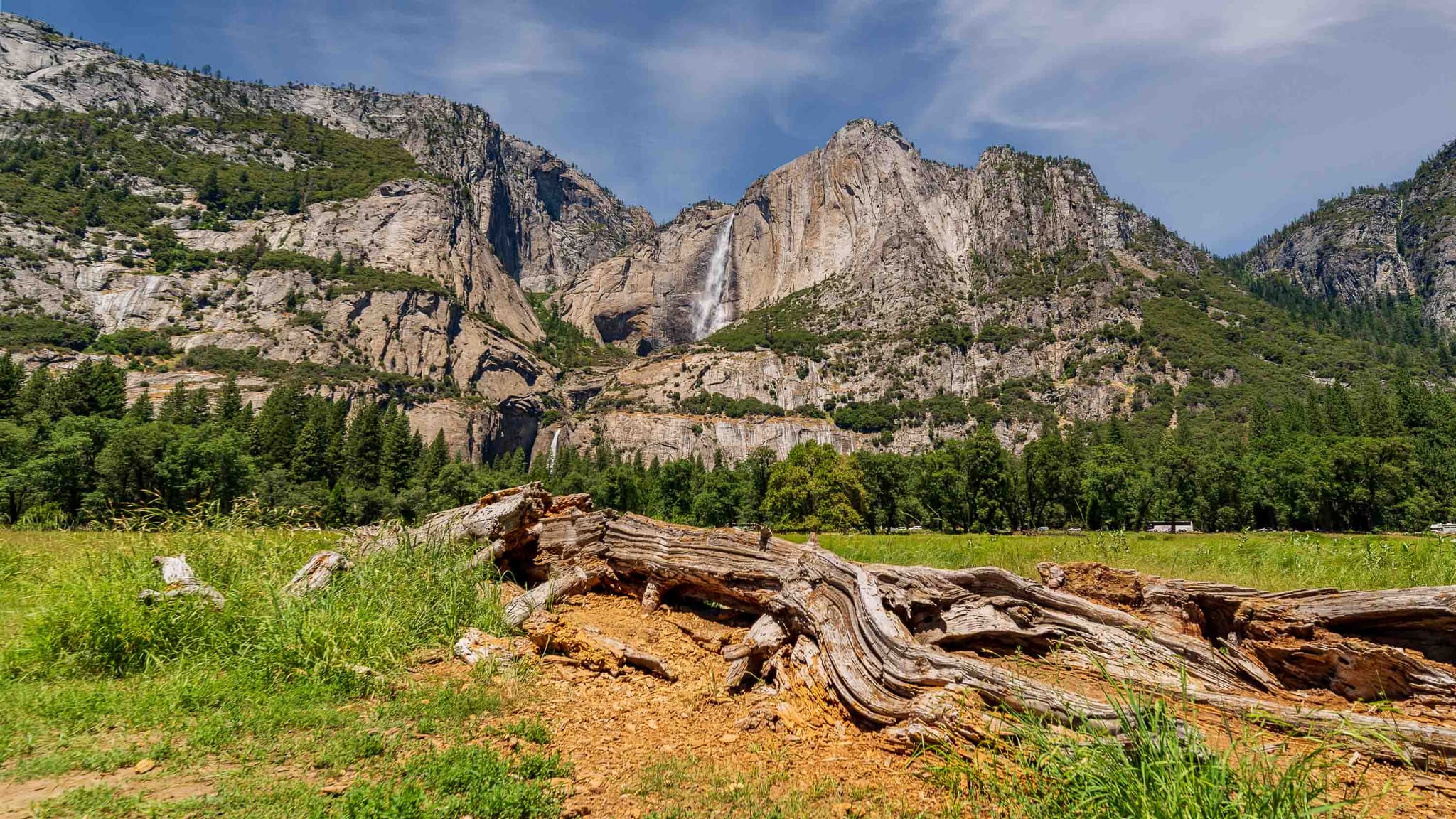 Naturaleza muerta — Yosemite National Park, USA