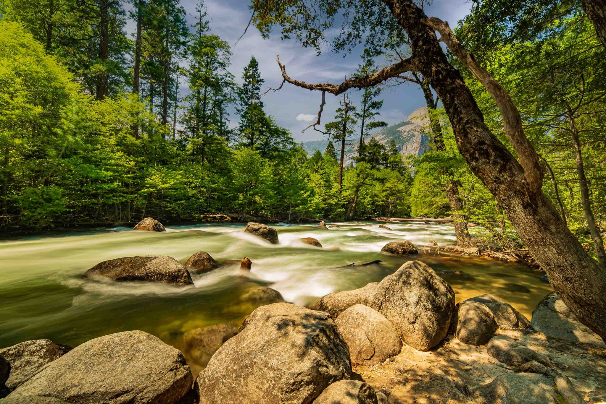 Let the river run — Yosemite National Park, USA