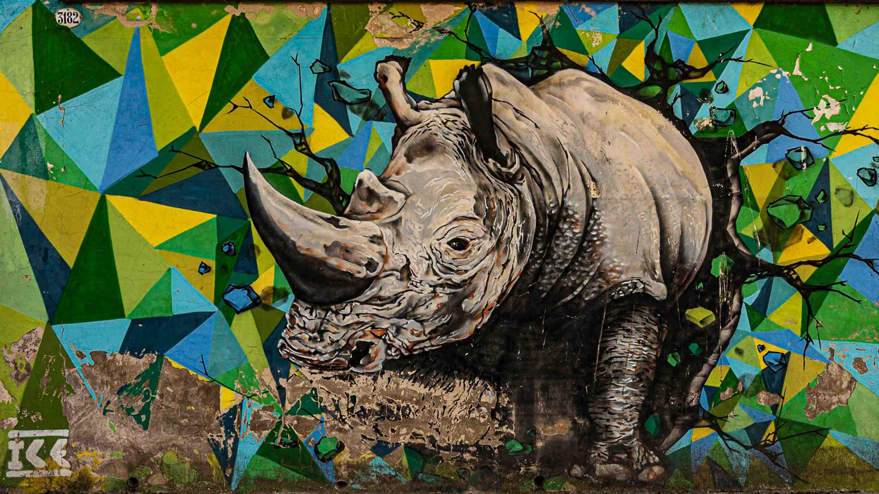 Rhino — Buenos Aires, Argentina