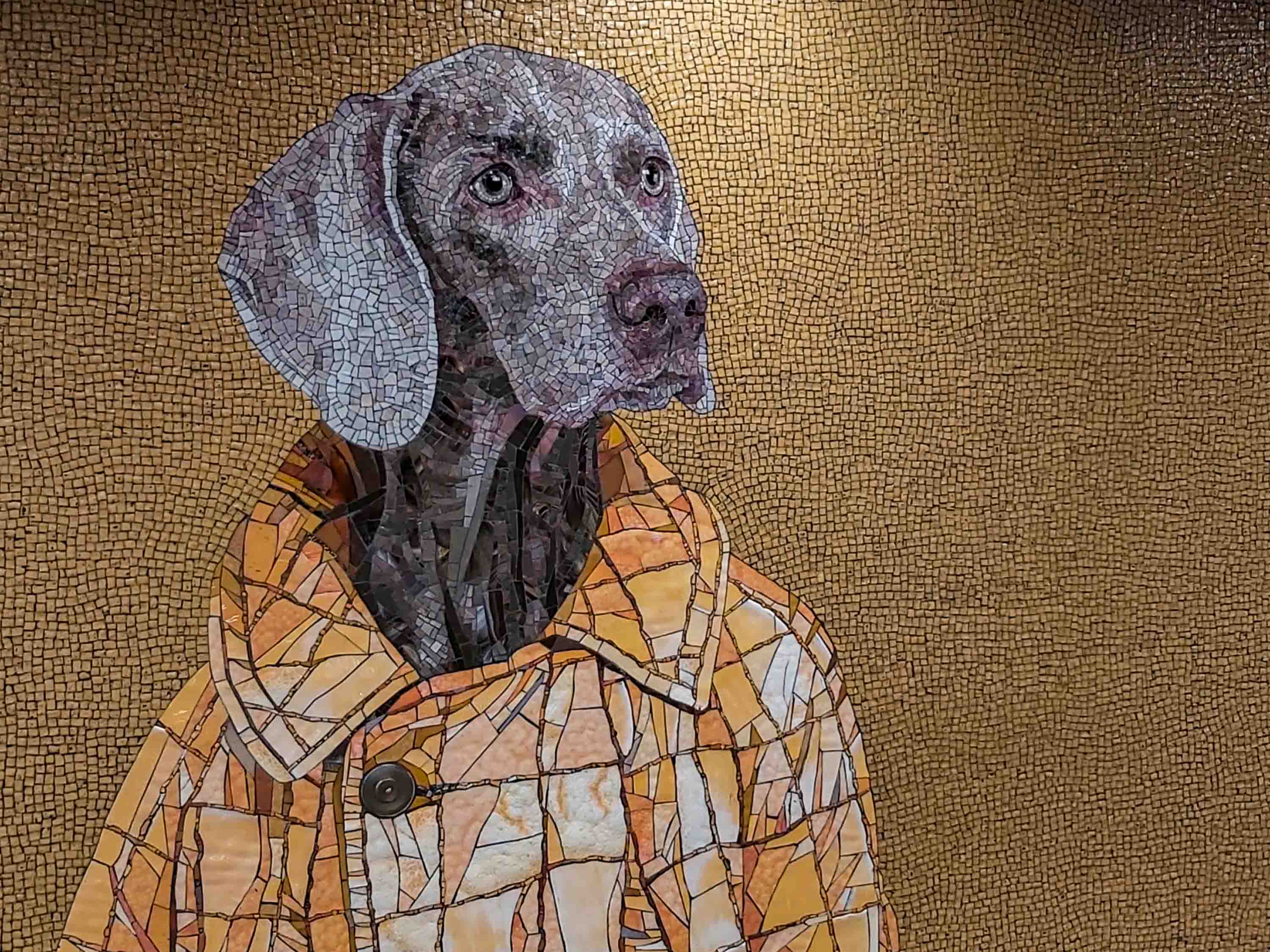 Tilka — New York, USA