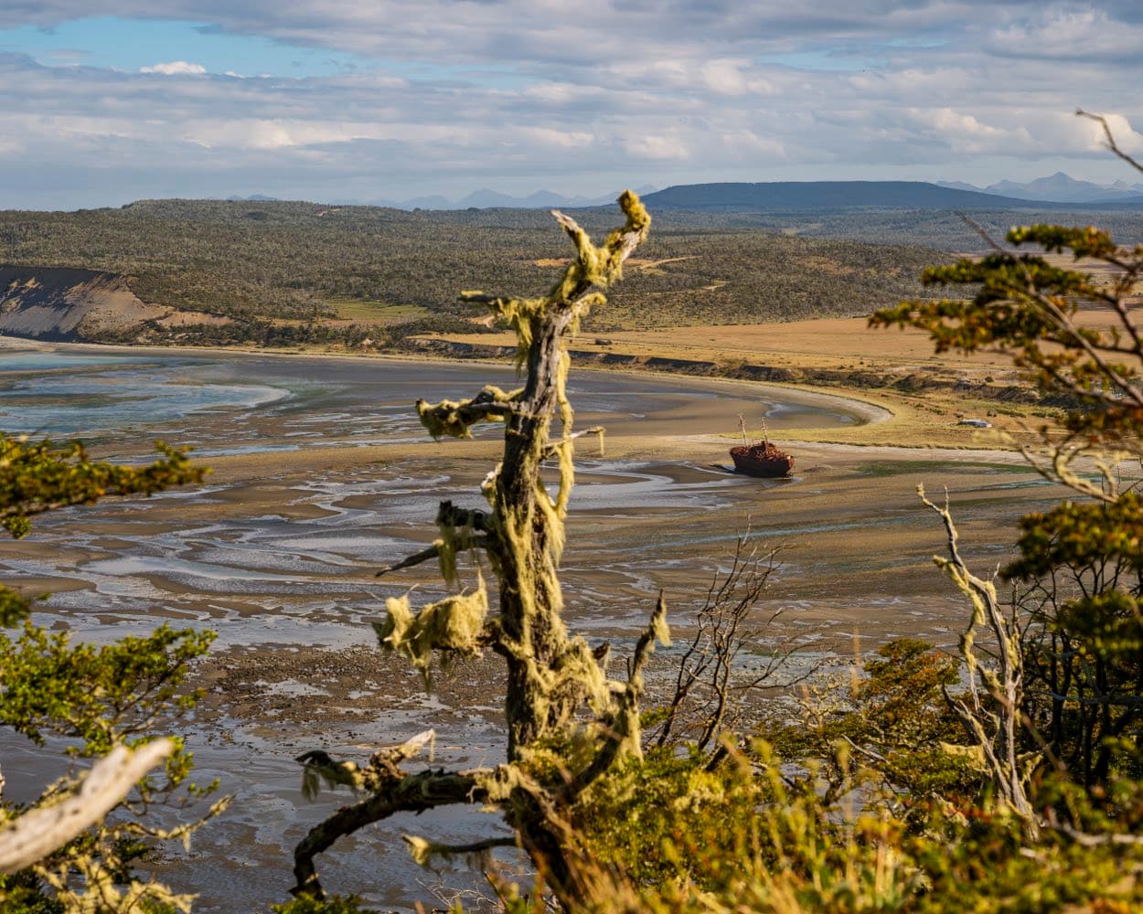 View from the woods over Cabo San Pablo bay at low tide, with the Desdémona in the distance