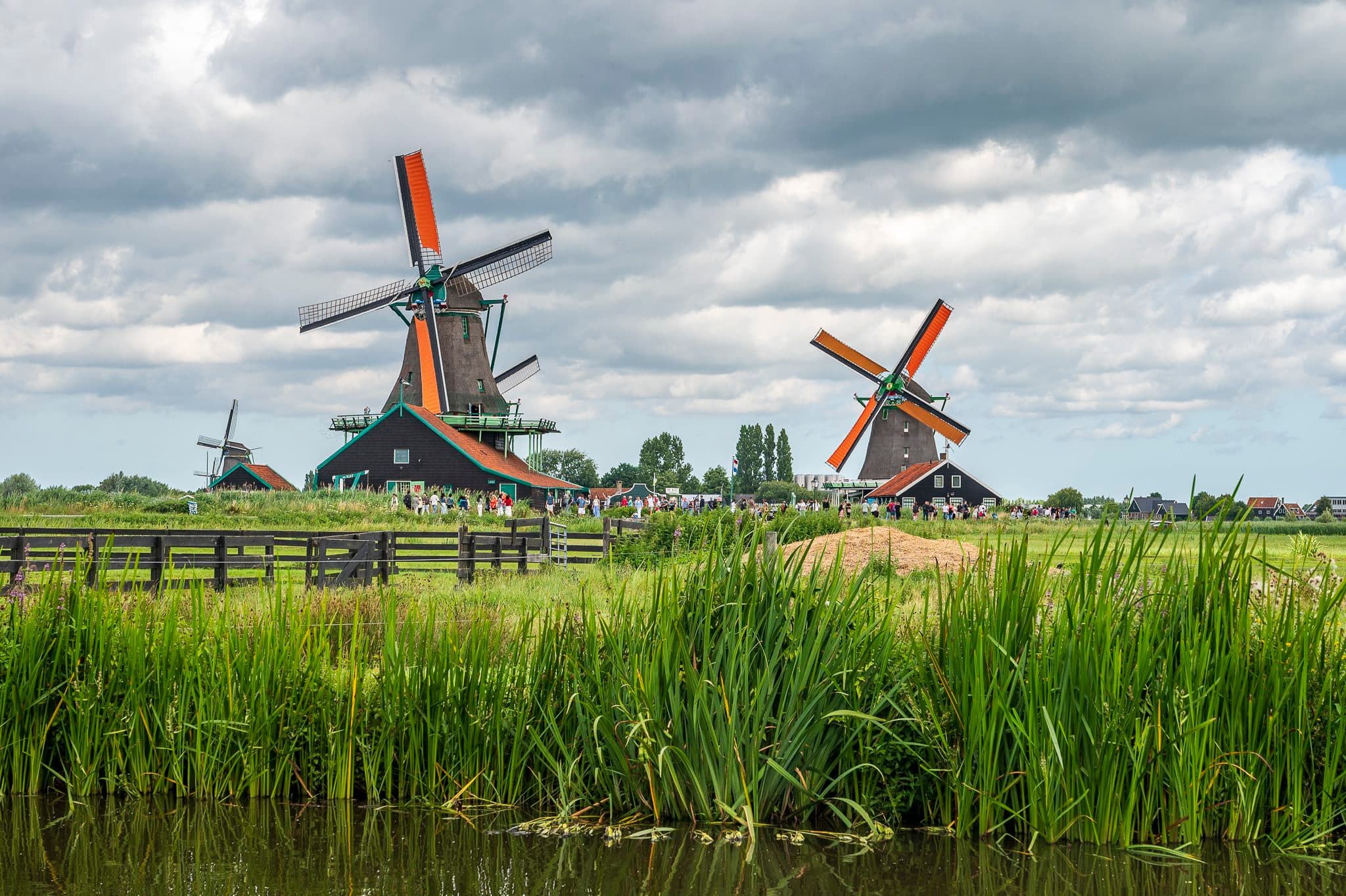 Zaanse Schans windmills among reeds and clouds